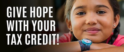 Learn more about Tax Credits